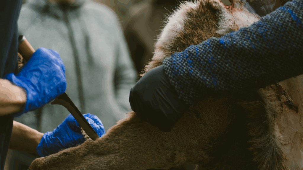 Cursus zelf slachten - De wildbroeders - Wild workshop - 02