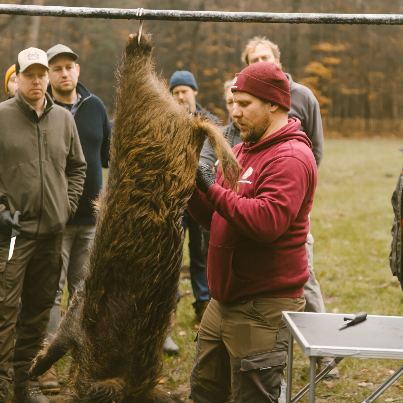 Wild workshop - zwijn