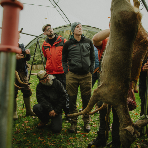 De Wildbroeders_workshop wild, ree fileren