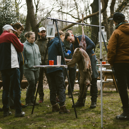 Cursus zelf slachten β De wildbroeders β Wild workshop Cursus zelf slachten - De wildbroeders - Wild workshop