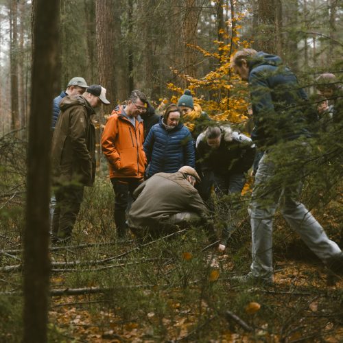 Wild diner_ Wild wandeling β Wildbroeders_03 Wild diner_ Wild wandeling - Wildbroeders_03